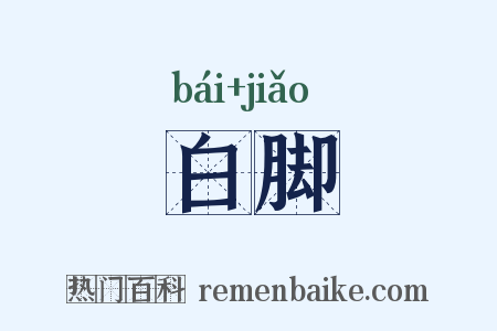 白脚是什么意思的图片